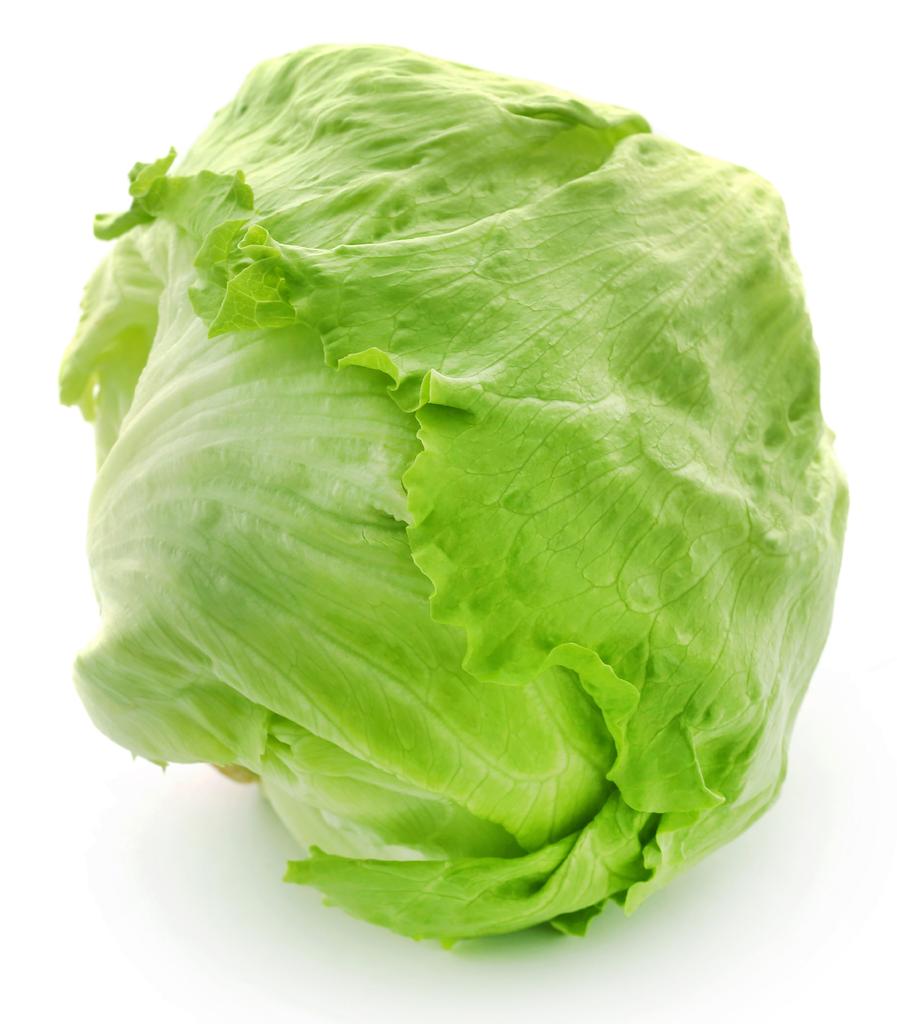 150 Iceberg Lettuce Seeds - Vegetable Salad - Reproducible Peasant Seeds - Semiwild