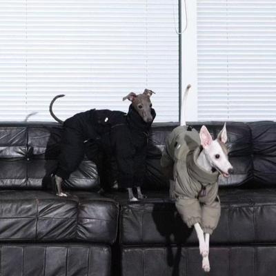 New Arrivals Winter Dog Jackets,Thicken Pet Dogs Coat Rompers - High Neck & Four Legs Fully Cover,Warm Whippet Greyhound Clothes