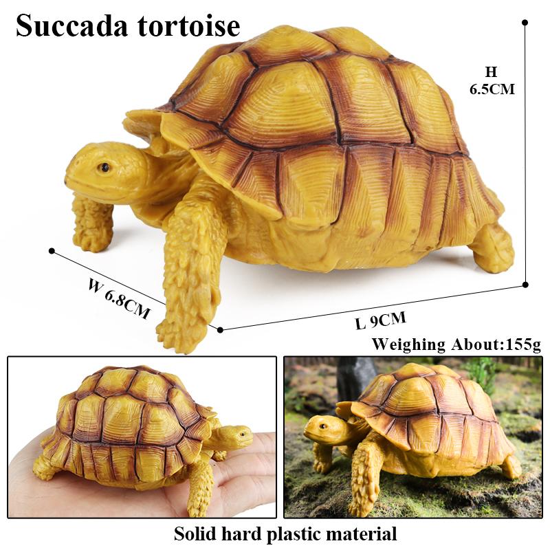 Oenux Sea Life Animals Model Leatherback Tortoise Turtle Growth Cycle Ocean Figurines Action Figures PVC Collection Kid Toy Gift