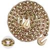 G80 Transport Binder Chain, 3/8" X 10.3' Tow Chain with Clevis Grab Hooks, 7100 Lbs Safe Working Load
