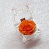 Romantic Ring Box Handmade Plastic Nice-looking Forever Rose Jewelry Box for Anniversary