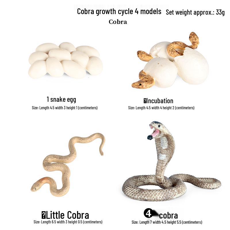 Large Snake Simulation Model - Giant Python & Cobra Children's Toy Ornament