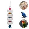 Vogel-Kauspielzeug, Vogelschnabel-Schleifstein für Papageien, Hamster und andere Kleintiere