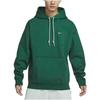 Nike Solo Swoosh Hoodie 'Green' Men's DX1356-323