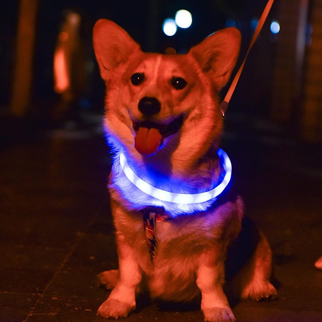 Glowing Pet Collar High Brightness LED Adjustable Light for Night Walks Pet Collar Light Accessories LED Light