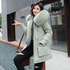 Winter New Trendy Down Cotton-padded Clothes Women's Clothing Waist Slim Fit Warm Student Cotton-padded Jacket