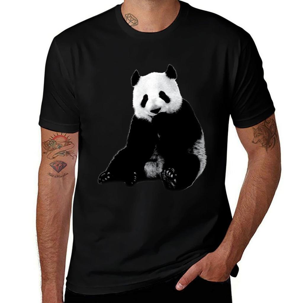 Cute Little Panda Bear Real Animal Tshirt Nonshrink Basic Cotton Tshirt