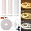 Tuya WIFI Bluetooth COB LED Strip 288leds/M EU 220V High Bright Neon Light RA90 Waterproof Garden Ribbon Tape Remote Control