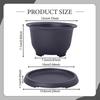 Bonsai Pot Flower Planter Training Bowl with Drainage System And Moisture Storage Made of PP for