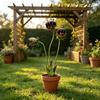 Metal Carnivorous Plant Garden Stake Handmade Rainproof Yard Sculpture for Flower Beds Patios Planters Rustproof Unique Quirky Garden Gift