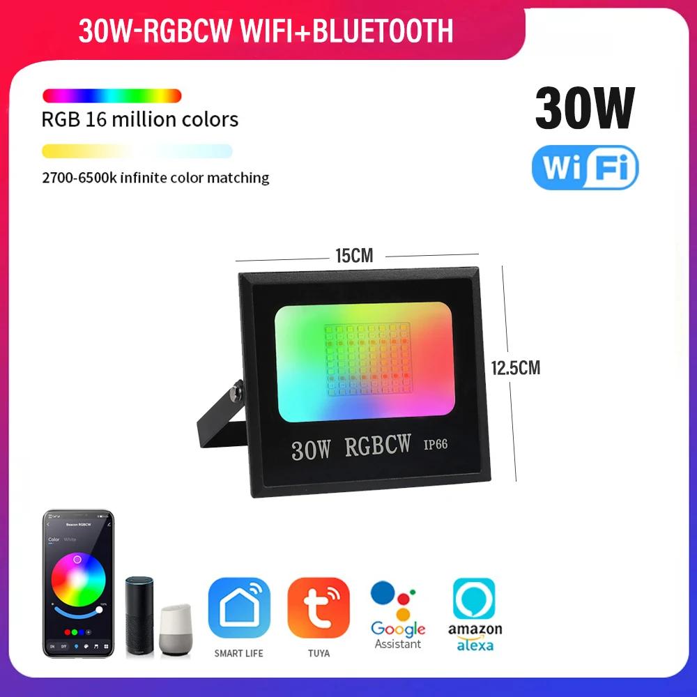 RGB LED Floodlight Reflector Outdoor Lighting 220V 30W 50W 100W Waterproof Spotlight Lamps Landscape Lighting Xmas Decoration