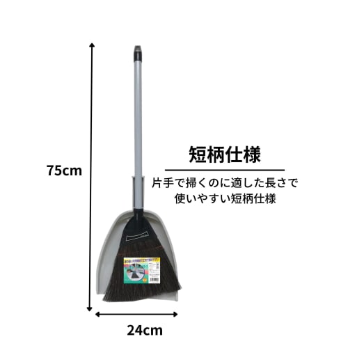 Nihon Clean Tech Black Fern Broom and Dustpan Set