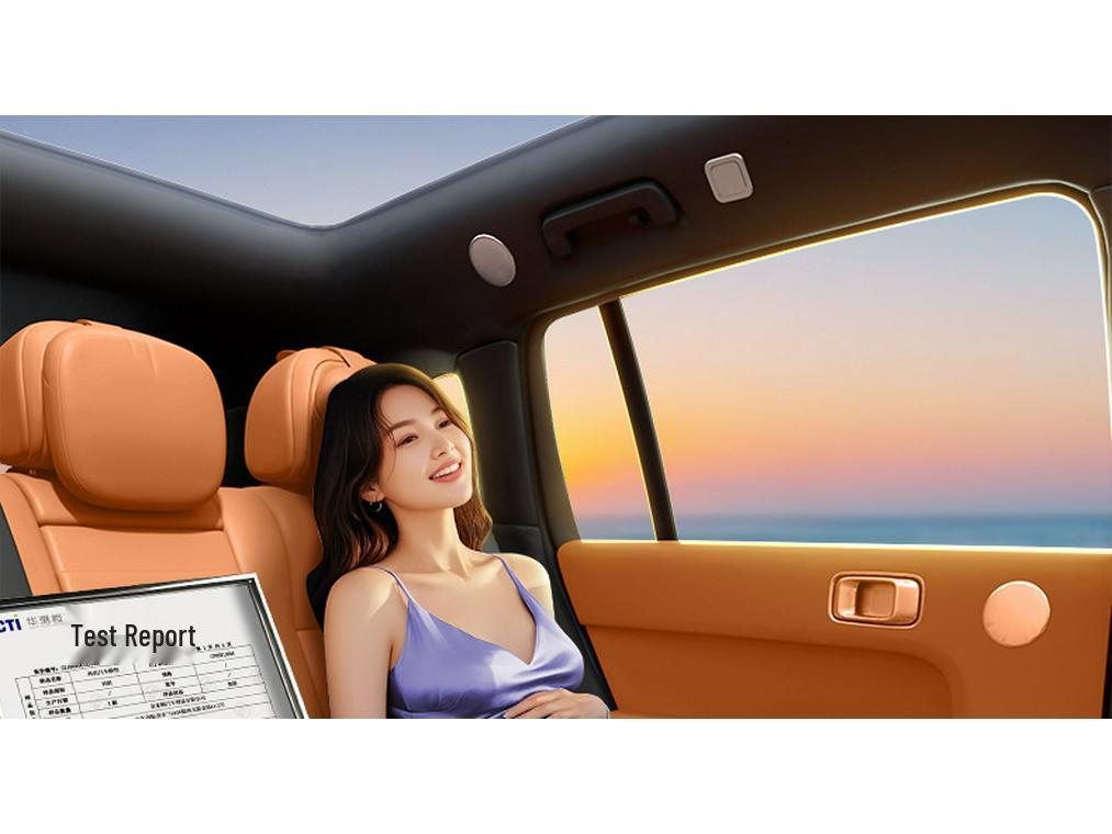 Geely Boyue L 2025 Full Coverage Interior Floor Mats