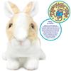 VIAHART Tale Ridley Rabbit Plush Realistic Pet Cute Bunny Japanese [Tiger Toys] Toy, 11-inch (27cm) Rabbit, [Official Product]