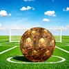 1pc Autumnal Fox Forest Theme Soccer Ball Football, Size 5, Lightweight PVC, Durable Outdoor Training Soccer Ball, Gift M61455