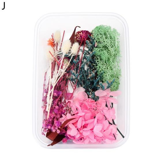 Artă populară Floare uscată Moale Vii Estetică