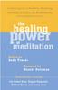 Kniha The Healing Power of Meditation : Leading Experts On Buddhism, Psychology, and Medicine Explore the Health Benefits of Contemplative Practice