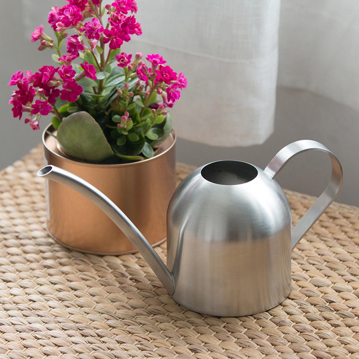 

Stainless Steel Indoor Watering Can for Potted Plants & Succulents, 500ml Long Spout Sprayer