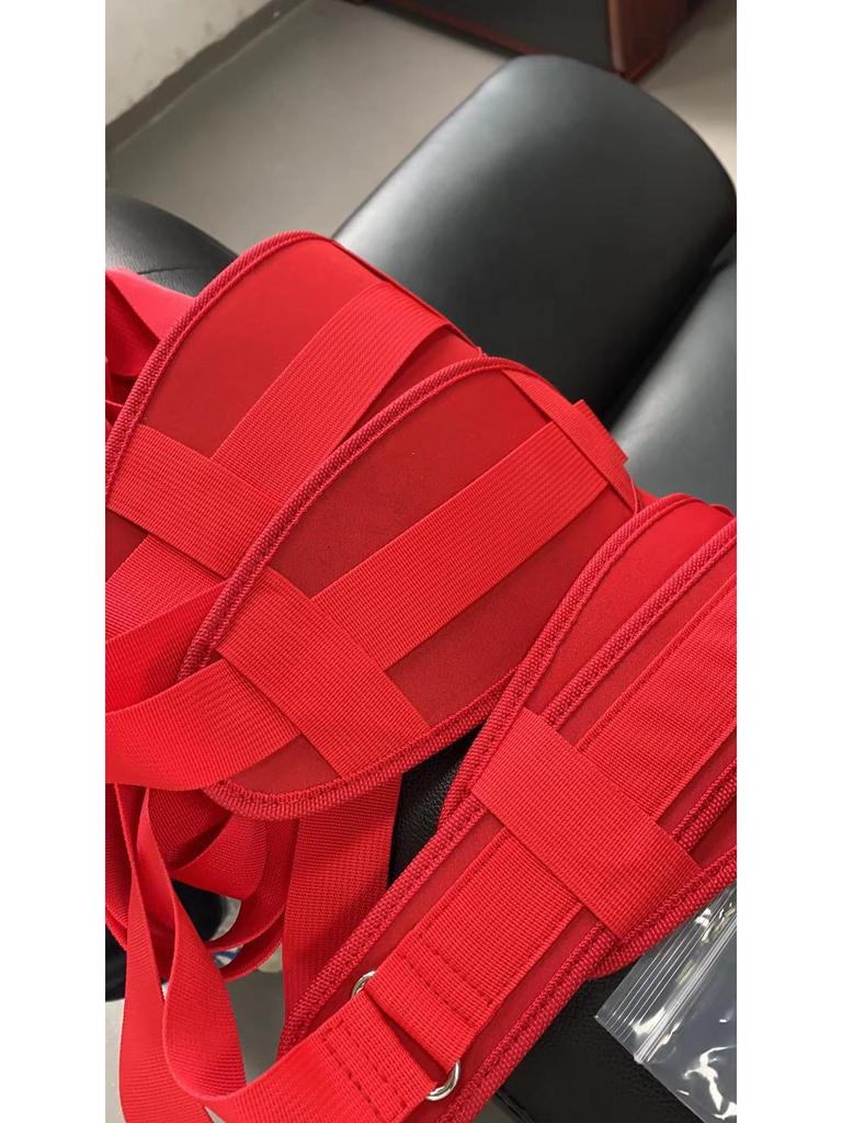 Adult Nylon Padded Doorway Swing for Couples