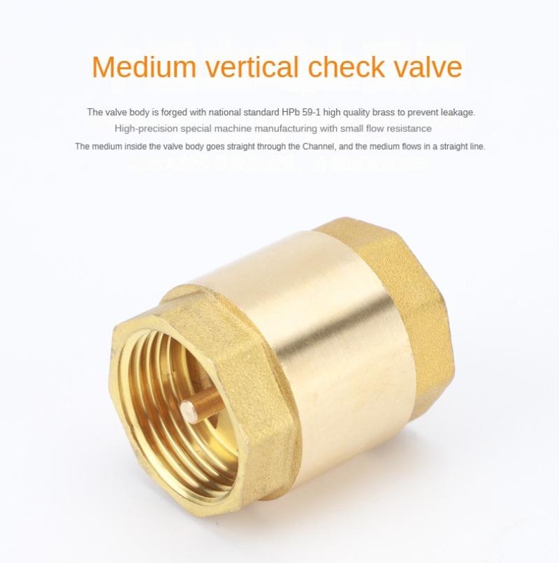OEM 304 SS NPTF Check Valve 1/2"-1-1/2" for Potable Water Systems – Industrial Grade