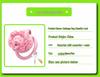 Puppy Dog Chastity Lock: Pink Mini CB Birdcage for Transgender Males