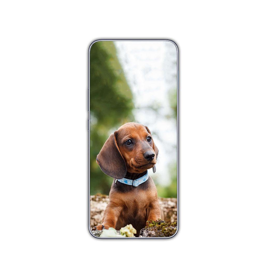 Animal Lovely Dachshund Dog Phone Cover for Motorola Moto G13 G14 G53 G54 G62 G72 G82 G84 E13 E20 G42 G32 G23 G22 Soft Case