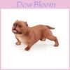 American Bully Pitbull Dyremodel PVC Figur Samlerobjekt Display Til Hundeentusiaster