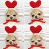 Dog clothes turned into dog cat clothes Small and medium-sized dog autumn and winter pet supplies Teddy Fatou cat clothing