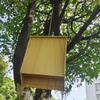 Durable Bat House for Outdoor Activities for Families and Outdoor Enthusiasts Easy To Install Bat Habitat Easy Assembly