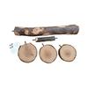 Yousheng Chinchilla Stand Exercise Training Play Ground Natural Wood Small Animal Climbing Platform Pet
