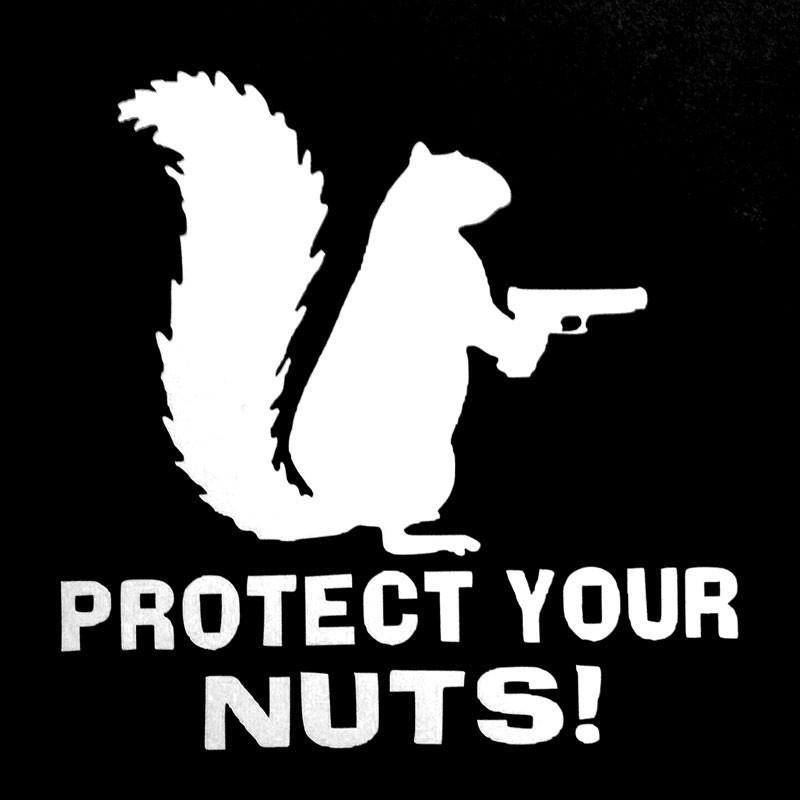 Funny Protect Your Nuts Squirrel Police Army Navy Marines Car Stickers And Decals Creative Sticker