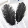 10pcsbag Natural Ostrich Feathers 15-40cm Colorful Ostrich Pens Plumes Party Wedding Home Decoration Table Centerpiece Crafts