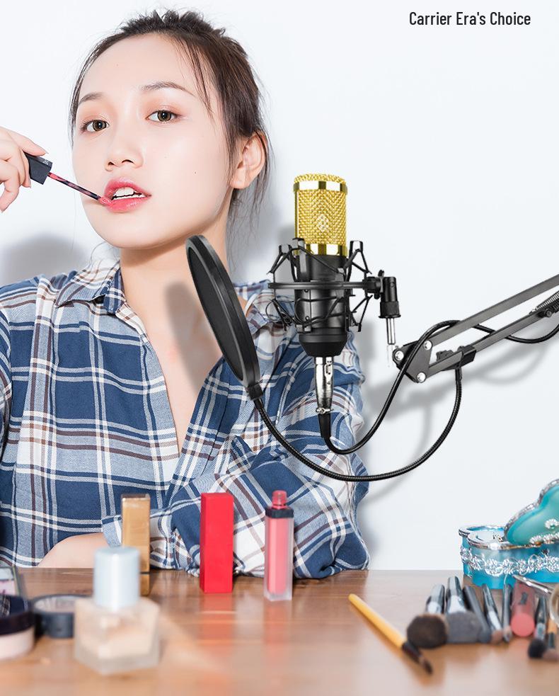 BM800 Condenser Microphone Set: Large Diaphragm, Streaming Stand, and Recording Equipment