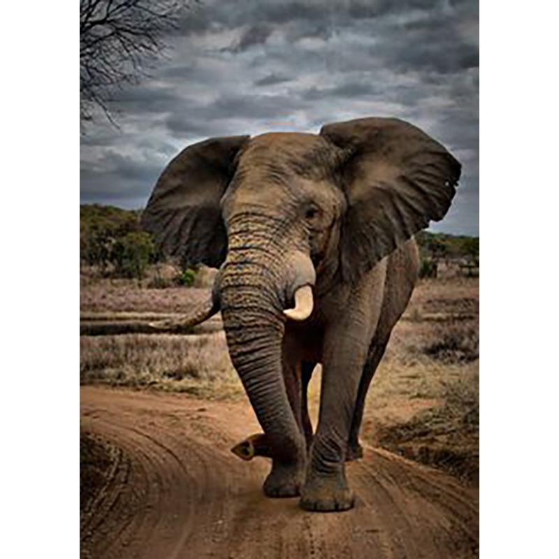 DIY Elephant 5D Diamond Maling Full Rund Drill Animal Diamond Brodery Rhinestone Art Mosaic Home Decoration Håndlaget gave