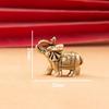 Brasses Elephant Ornaments Symbolizing Wealth Wisdoms and Good Fortunes for Gift Giving or Home Office Decoration