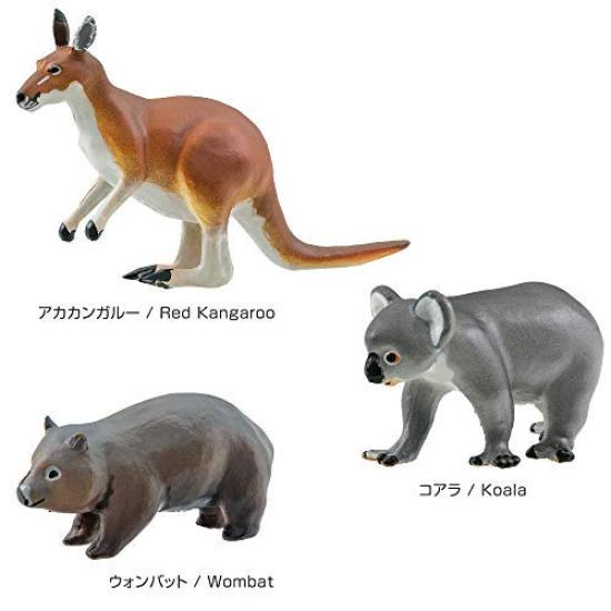 Calorata Tiergeographie Zone 4 Figur 3D Enzyklopädie und Australisch 12 Enthält Realistische Figur Box Pädagogisch Lebensmittelhygienegesetz Geschenk