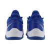 Nike PG 5 TB Royal Men Sneakers Blue DM5045-401
