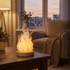 Color Changing Simulation Flame Night Light Creative Bonfire Lamp Gift 3D Printed Light  Courtyard