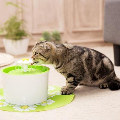 Dog Cat Water Dispenser Small Flower Electric Pet Automatic Circulating Filtration Intellect Water