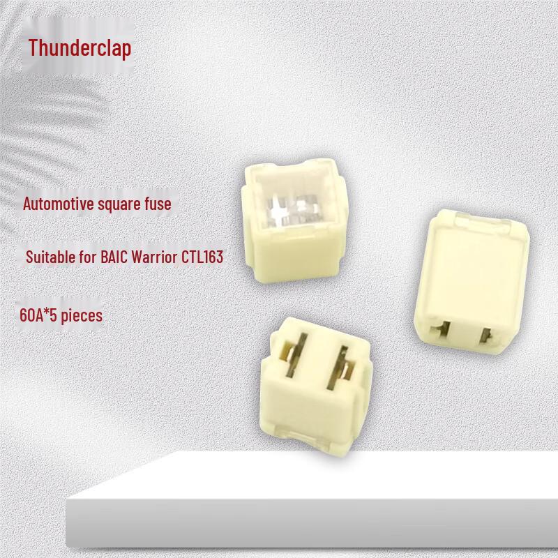 Lei Xiang 60A Square Car Fuse (5-pack)