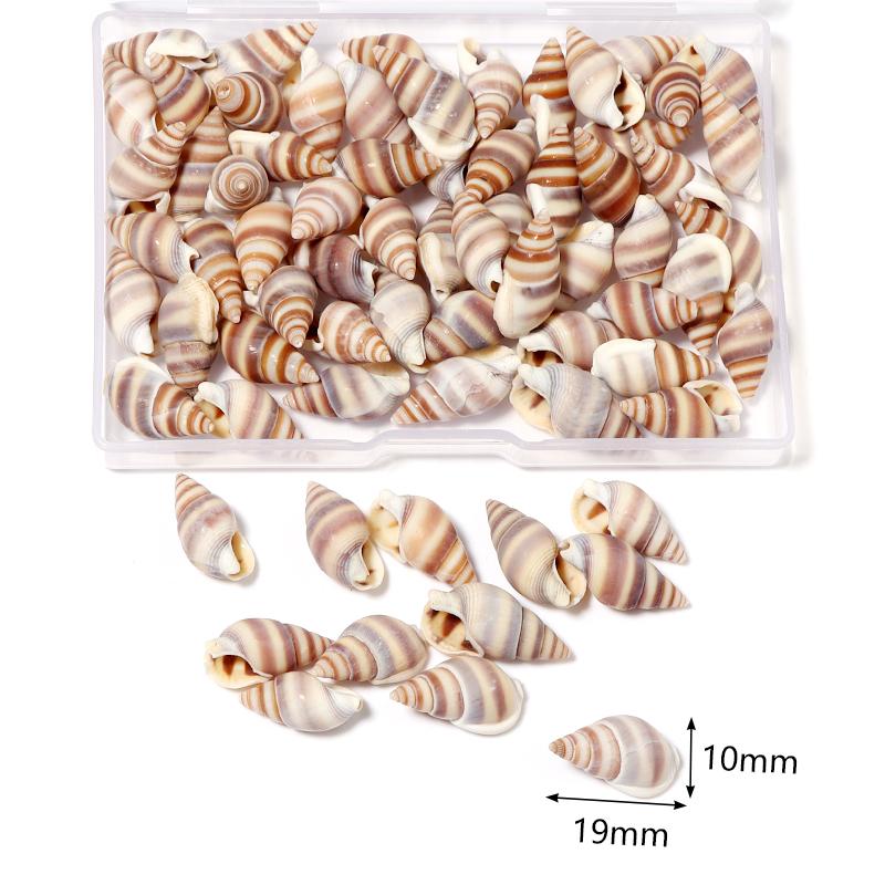 1 Box Sea Shell Spiral Shell Tiny Ocean Spiral Seashell Conch Crafts Aquarium Decoration Landscaping Accessory Photography Props