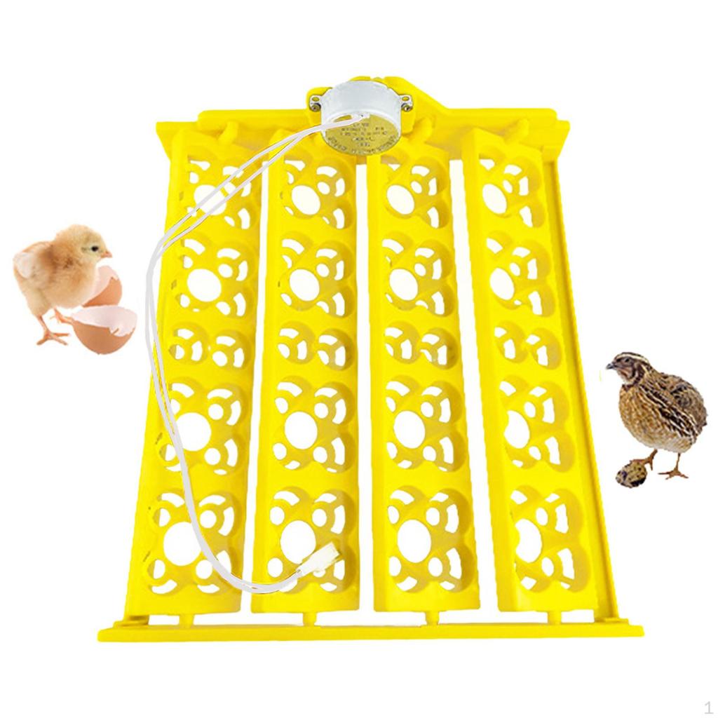Advanced Egg Incubator Tray with Automatic Rotation Feature