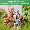 Damaly Interactive Dog Soccer Toy with Grip Ring Durable Chew Resistant Water Ball for Dogs Outdoor Play Chasing Fetch Training