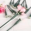 Flower Floral Water Tubes with Caps Reusable Flower Stem Water Tubes Self Watering Extended Orchid Tube for Fresh Flowers