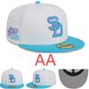 AA Quality Fitted Baseball Caps 3D Embroidered Men Sports Outdoor Use
