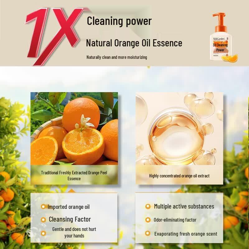 SGY Fruit Garden Orange Scented Foaming Hand Soap