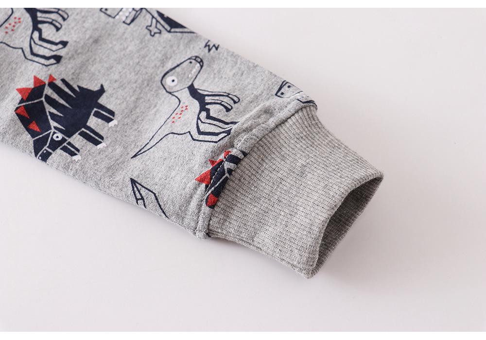 European-Style Children's Long Sleeve Cotton Hoodie for Autumn/Winter