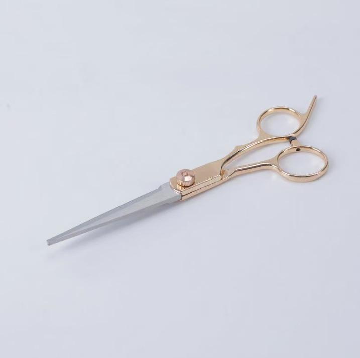 Специальный выпуск для новичков: Филировочные ножницы - Подходят для домашнего использования