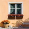 Artificial Persian Autumnal Ferns Put A Bundle of Simulated Plants Into Outdoor Shrubs for Home Decor