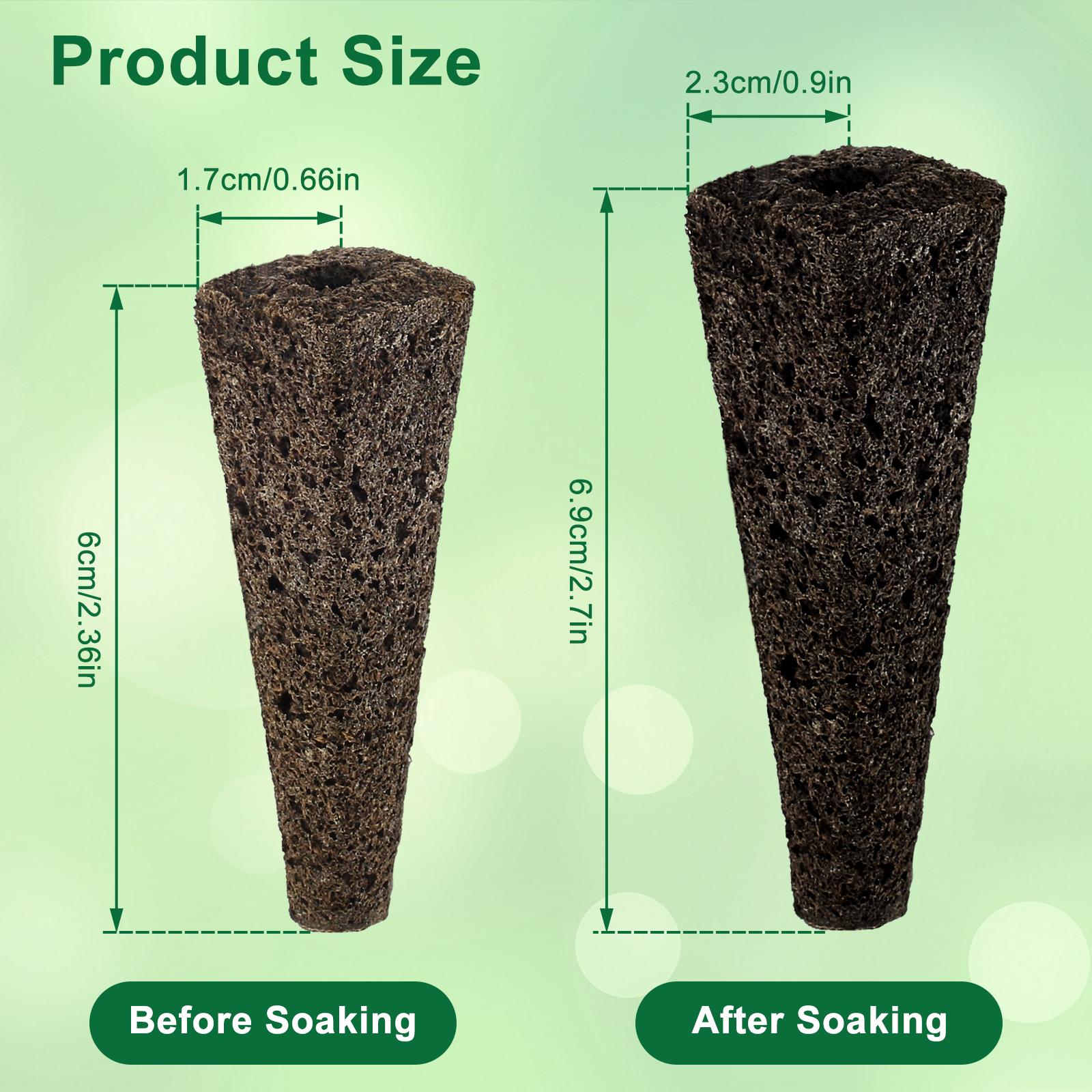 

Гидропонный рост семян губки Семена губки Овощная гидропоника Система выращивания Посев Стручок губки Беспочвенное выращивание Посадка